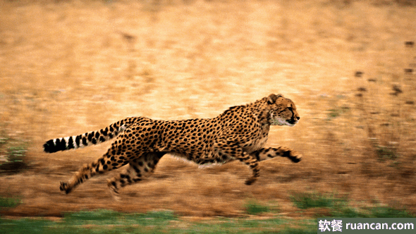 10张充满速度感的壁纸（附下载链接）