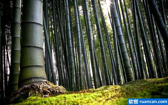 imgur最新风景壁纸精选11张(附下载链接)