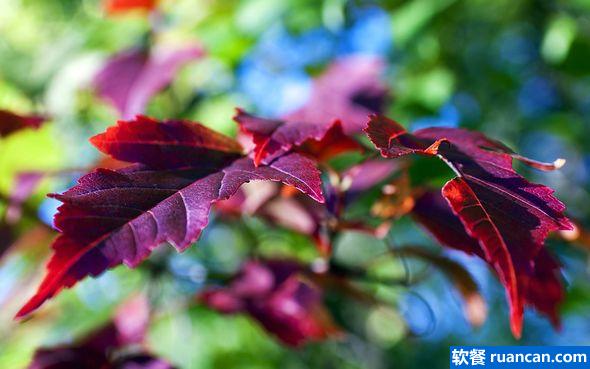 imgur最新风景壁纸精选11张(附下载链接)