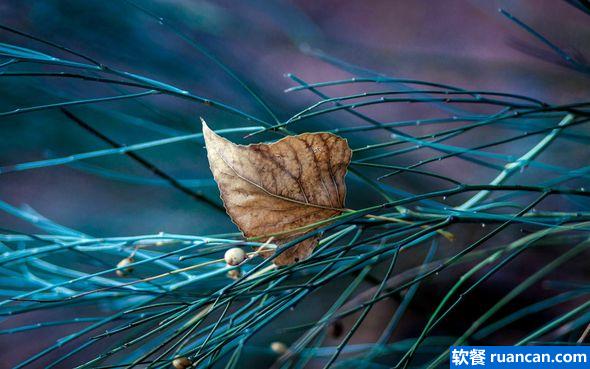 imgur最新风景壁纸精选11张(附下载链接)