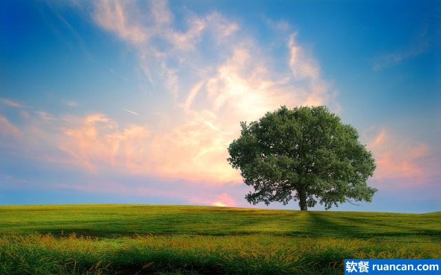 清新自然 清新自然