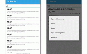 [安卓] Search Everything：快如闪电的文件搜索神器