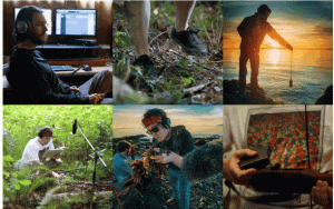 为什么老外可以在网上卖音效，我们不行？