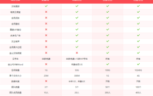 WPS 10元青铜年会员，去广告弹窗