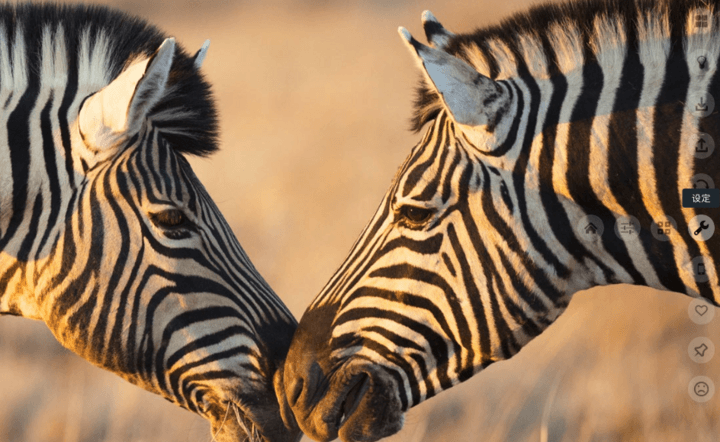 简Tab：极简的Chrome新标签页扩展