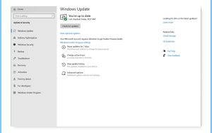 Windows 10 Insider Build 19536支持可选更新