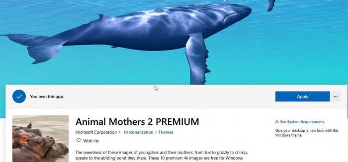 微软发布Animal Mothers 2 4K壁纸包