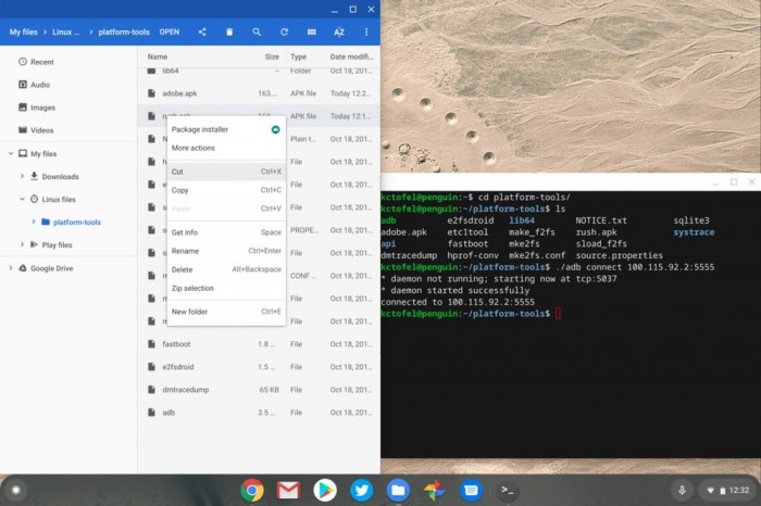 [技巧] 不启用开发者，Chrome OS 80装非Play商城应用