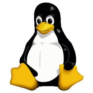 Linux 5.5正式发布