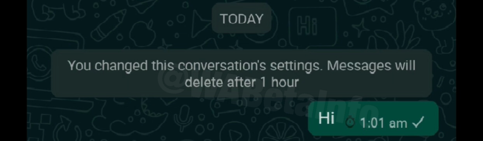 WhatsApp重新引入了针对个人聊天的自毁消息功能2