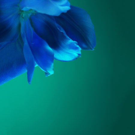 [资源] 华为P40 Pro高品质原生壁纸下载