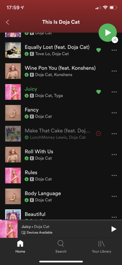 Spotify终于可以让您隐藏其他播放列表中的歌曲3