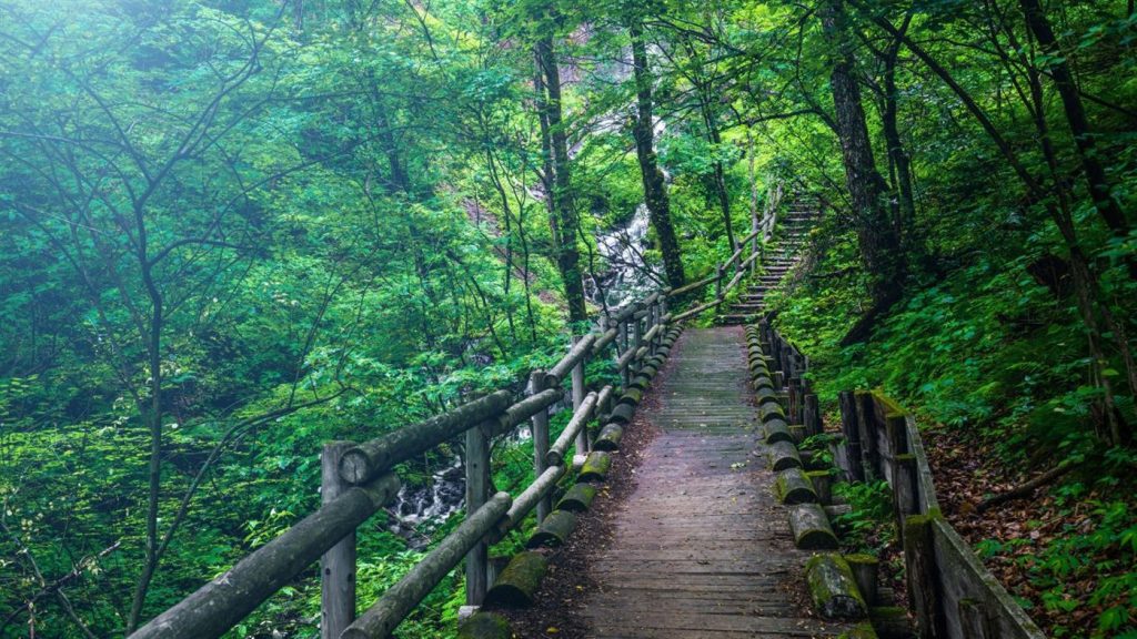 微软发布”Wooden Walkways PREMIUM”4K壁纸包