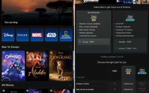Disney+ Hotstar印度订阅用户突破800万