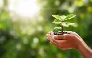 北京朝阳区已调整为“低风险”：10个注意事项