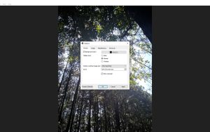 qView：跨平台的简约开源图片查看器