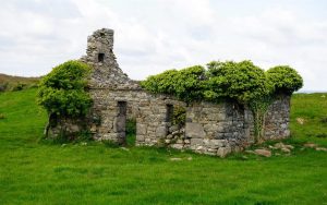 微软发布Reclaimed by Nature（被自然回收） 4K壁纸包