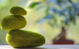 微软发布At Home PREMIUM（在家）4K壁纸包