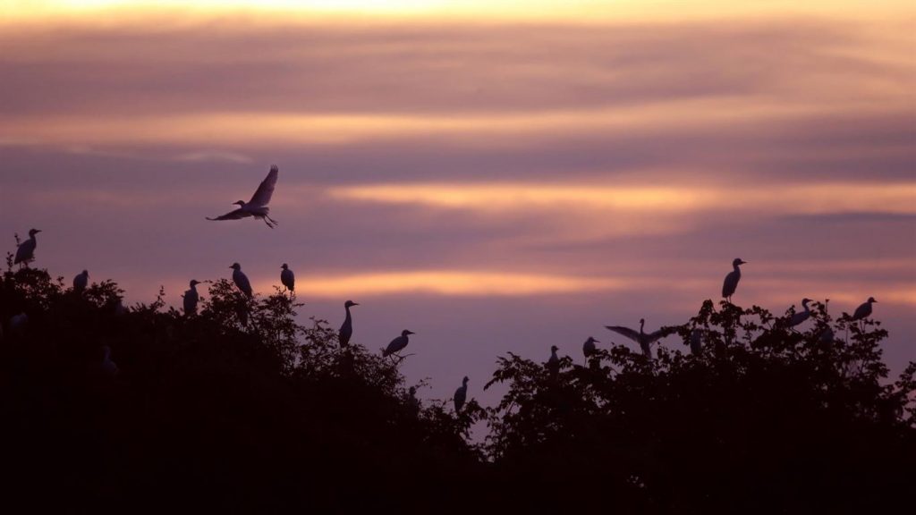 微软发布Amazon Landscapes PREMIUM 4K壁纸包