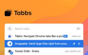 Tabbs：Chrome标签页搜索和管理扩展
