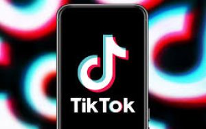 TikTok诞生首个粉丝量破亿的用户