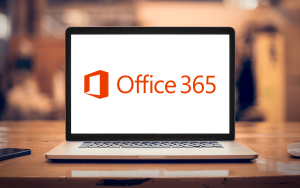 微软Office 365新增官方视频素材库