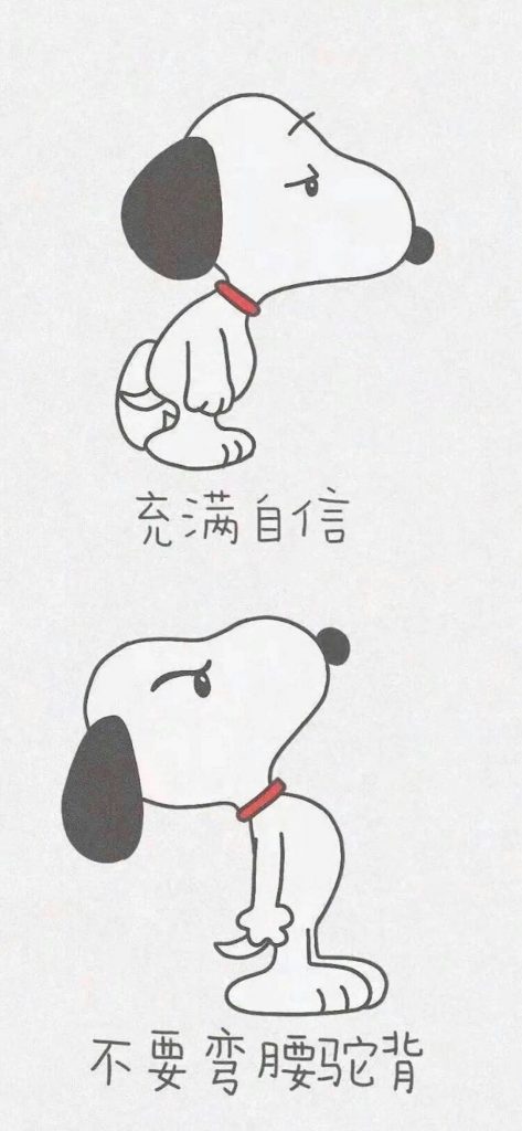 高分手机壁纸精选：好运励志（12 张）