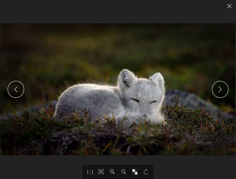 菠萝看图：轻盈的开源图片查看器