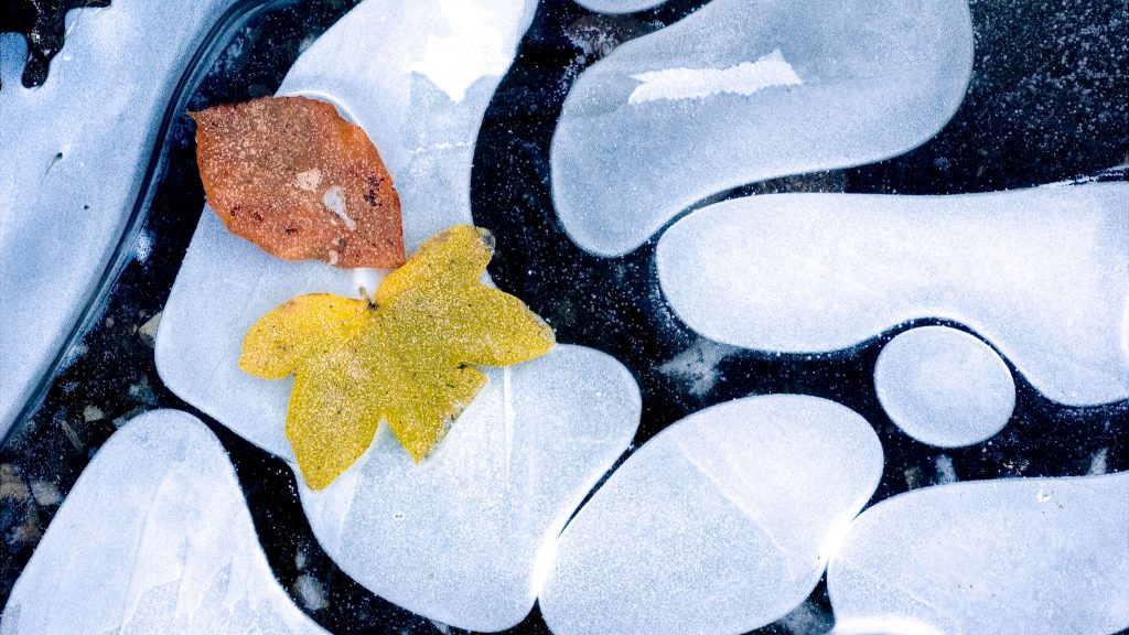 微软发布4K壁纸L'heure de la resistance