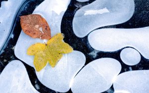 微软发布4K壁纸L'heure de la resistance