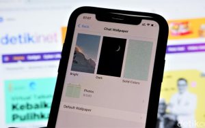 WhatsApp iOS版更新：全新壁纸和贴纸搜索功能