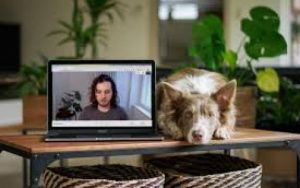 微软Teams移动版/Mac版即将支持通话「噪声抑制」功能