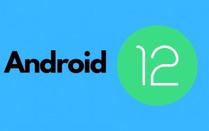 谷歌发布Android 12首个开发者预览版