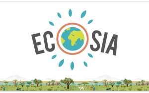 八成利润都拿来种树，搜索引擎Ecosia是这样运行的