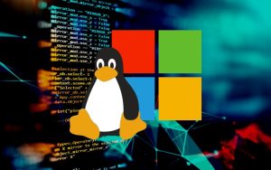 适用于Linux的Windows子系统（WSL）在微软商店上架：Win10可用
