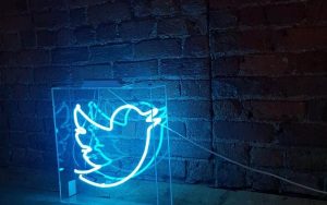 推特付费订阅服务“Twitter Blue”价格曝光：每月2.99美元