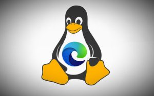 微软发布Linux版Edge浏览器Beta版