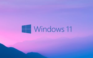 传为Windows 11的界面截屏曝光：显示为“Windows 11 Pro”，神似Win 10X