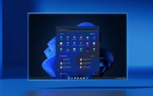 通过预览体验计划体验Windows 11，该如何选择频道？