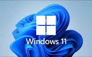 破解Windows 11对TPM 2.0的限制！让不兼容设备拥抱Windows 11