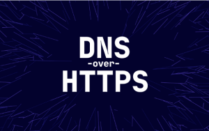 Windows 11已原生支持基于 HTTPS 的 DNS（设置方法）