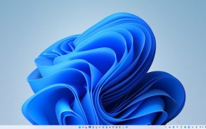 Windows 11任务栏太大了？修改注册表，轻松修改任务栏尺寸