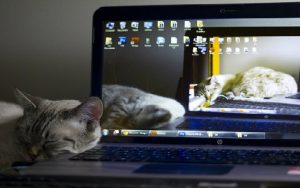 [实测] 简单易用的PowerToys电脑唤醒工具Awake