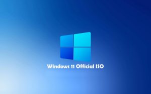 [技巧] 快速下载Windows 11 ISO镜像文件
