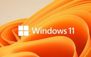 [实测]国内设备已开始推送Win11第三个预览版（10.0.22000.71）