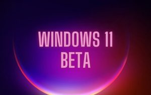 [提醒] 现在是切换Windows 11预览通道的好时机