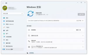 Win11 第6个预览版 Windows 11 Insider Preview 10.0.22000.132 发布