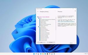 ThisIsWin11：设置Windows 11的实用工具
