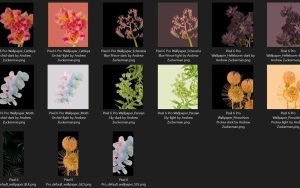 [下载]Pixel 6 Pro发布日益临近，植物主题壁纸曝光