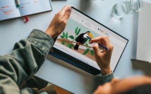 Windows 11新版“画图”应用现错别字